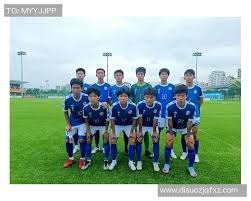 麻将里技术占多大比例（麻将中，技术因素究竟占多大比重？）