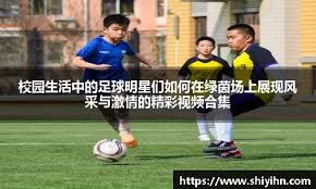 WBC成功提升棒球国际影响力